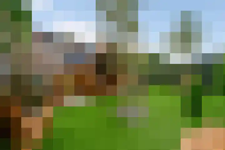 Hinkert 41 Nederweert thumbnail 25