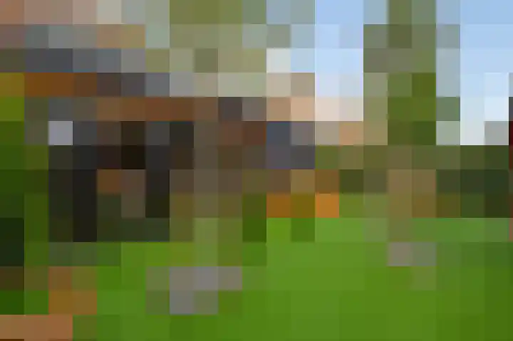 Hinkert 41 Nederweert thumbnail 27
