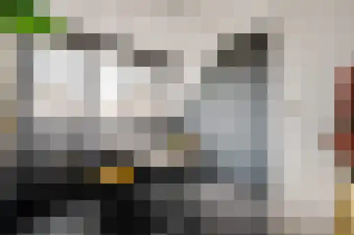 Hinkert 41 Nederweert thumbnail 34