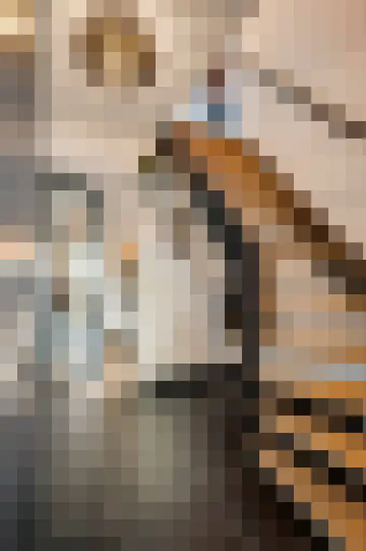 Hinkert 41 Nederweert thumbnail 4