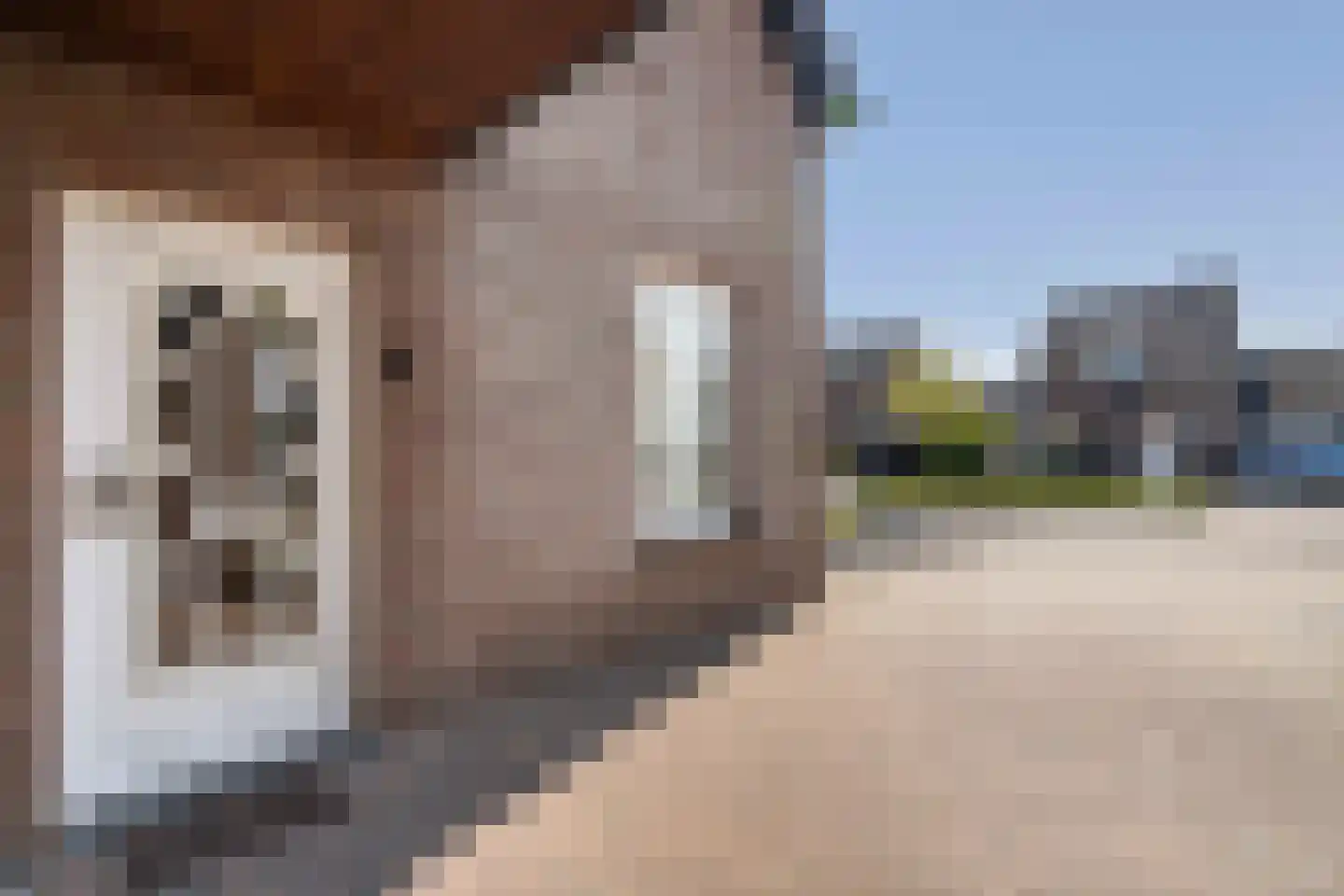Hinkert 88 Nederweert thumbnail 10
