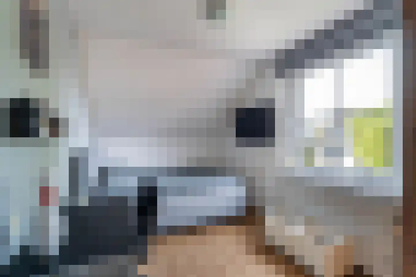 Hinkert 88 Nederweert thumbnail 32