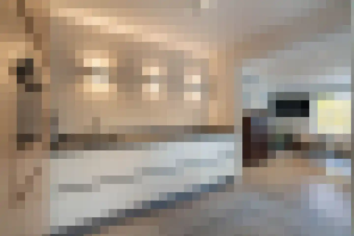 Hinkert 88 Nederweert thumbnail 4