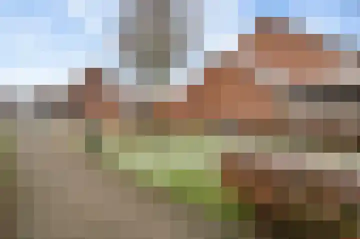 Hinkert 92 Nederweert thumbnail 51