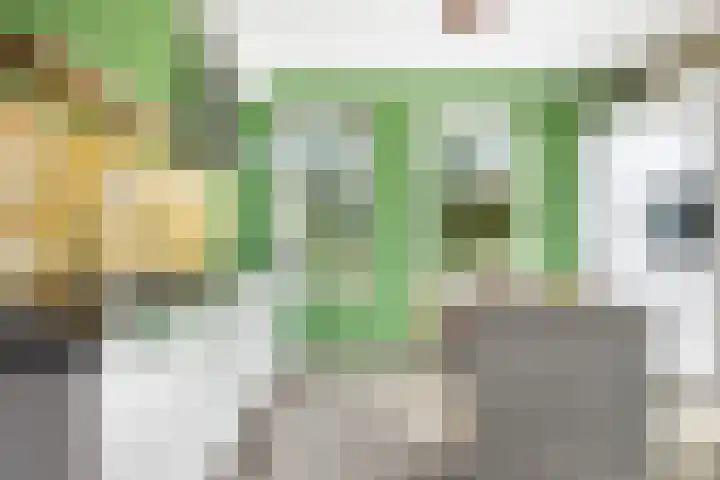 Hinkeslân 1 a Goutum thumbnail 10