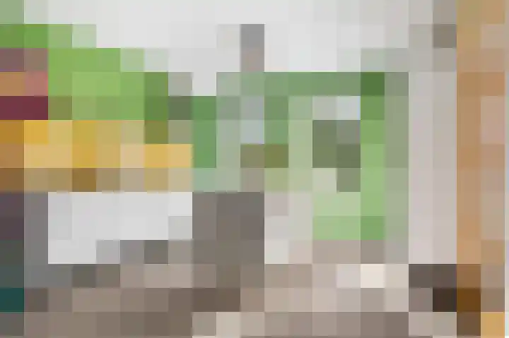 Hinkeslân 1 a Goutum thumbnail 11