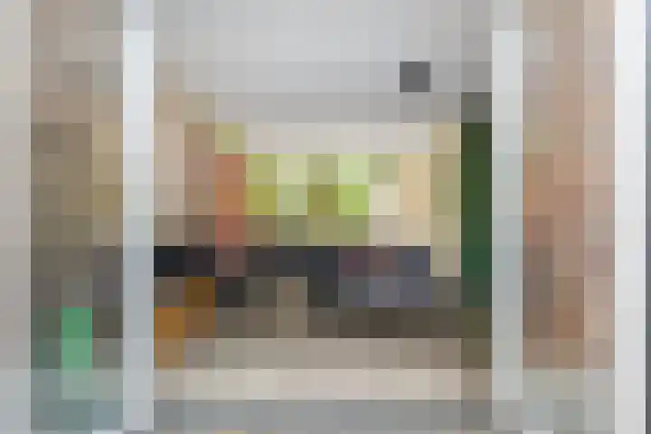 Hinkeslân 1 a Goutum thumbnail 13
