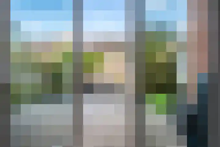 Hinkeslân 1 a Goutum thumbnail 14