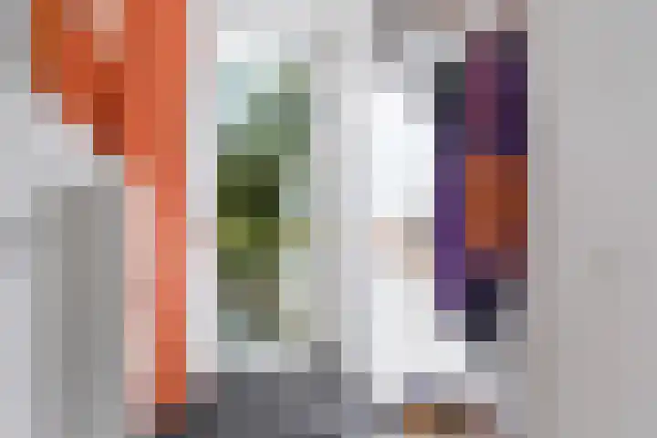 Hinkeslân 1 a Goutum thumbnail 16