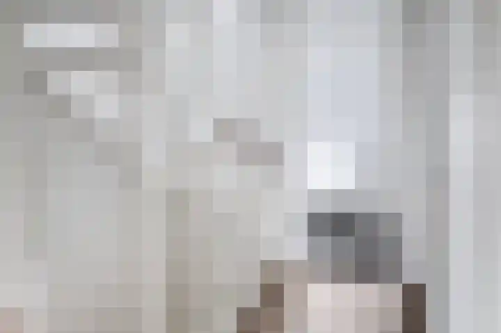 Hinkeslân 1 a Goutum thumbnail 17
