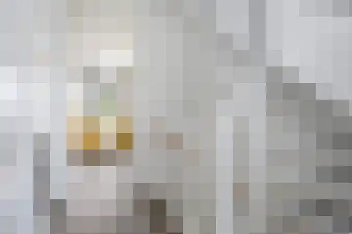 Hinkeslân 1 a Goutum thumbnail 18