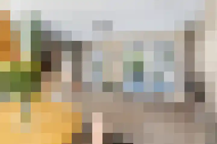 Hinkeslân 1 a Goutum foto 2