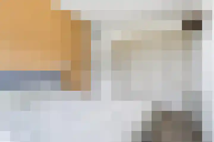 Hinkeslân 1 a Goutum thumbnail 20