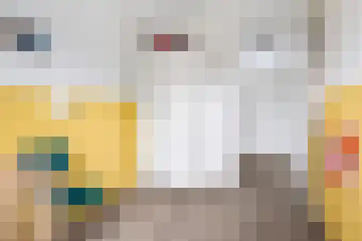 Hinkeslân 1 a Goutum thumbnail 22