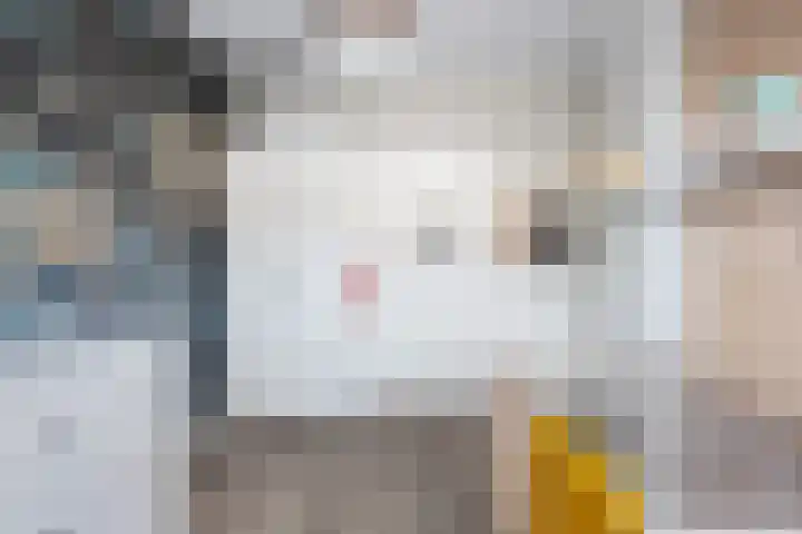 Hinkeslân 1 a Goutum thumbnail 24