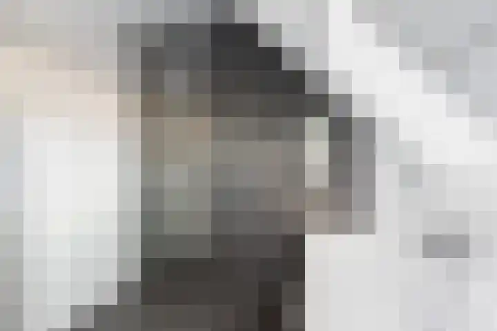 Hinkeslân 1 a Goutum thumbnail 26
