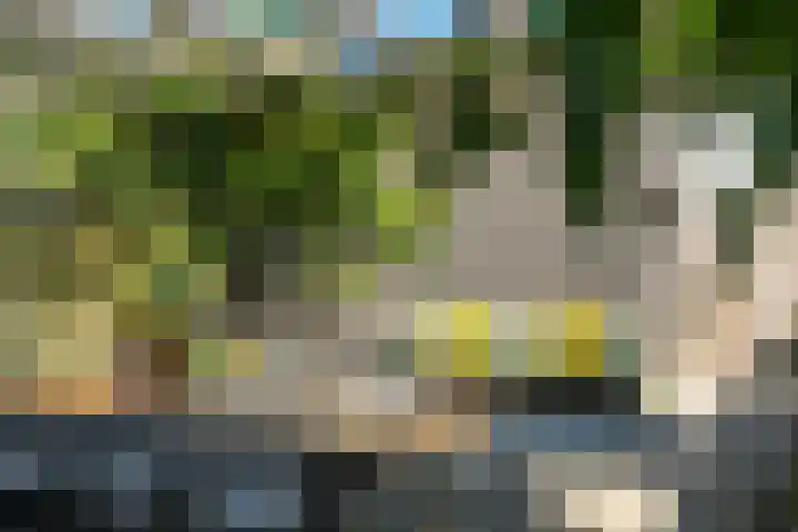 Hinkeslân 1 a Goutum foto 3