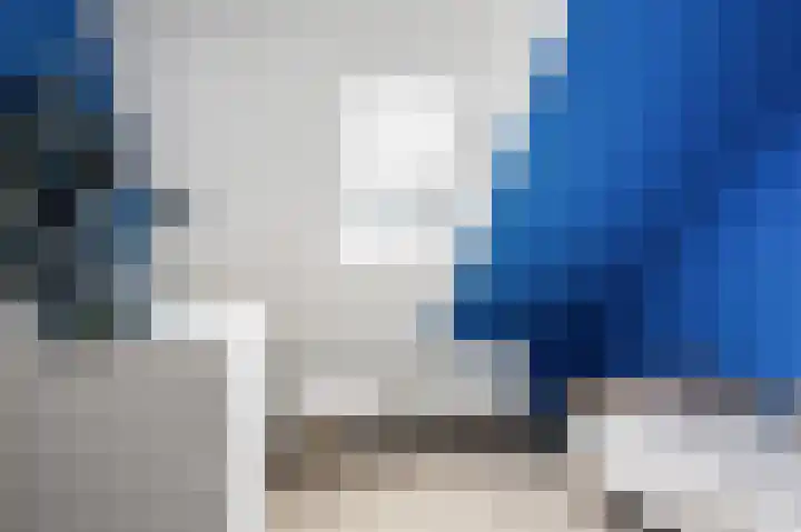 Hinkeslân 1 a Goutum thumbnail 31