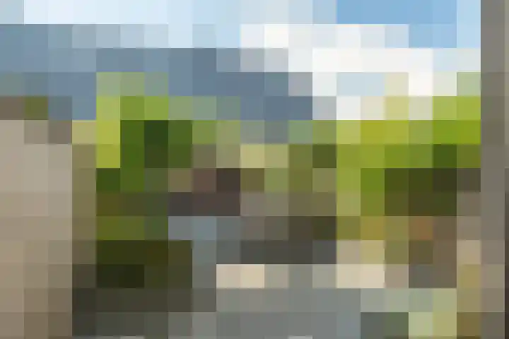 Hinkeslân 1 a Goutum thumbnail 33