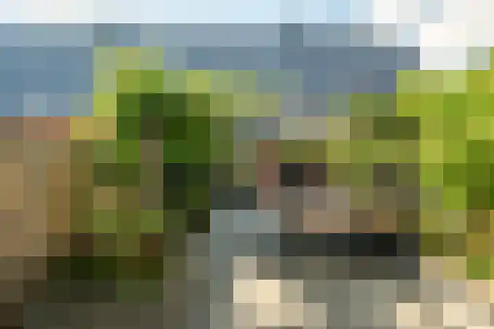 Hinkeslân 1 a Goutum thumbnail 34