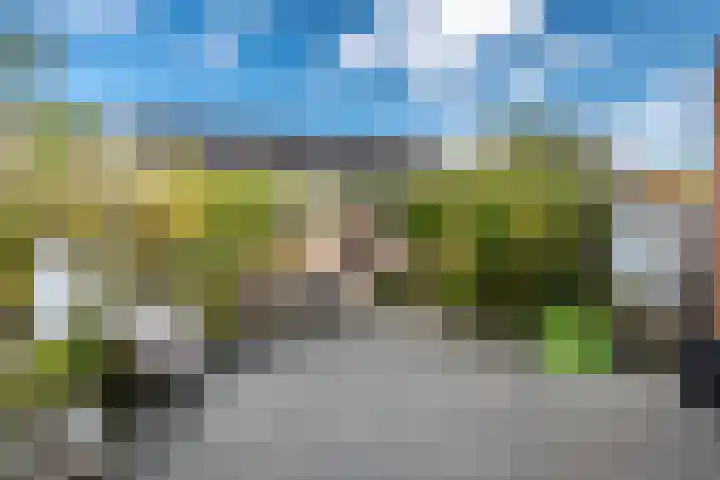 Hinkeslân 1 a Goutum thumbnail 36