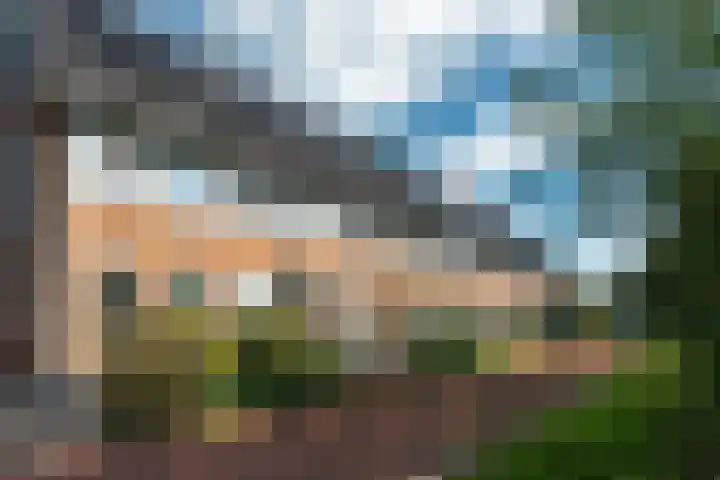 Hinkeslân 1 a Goutum thumbnail 39