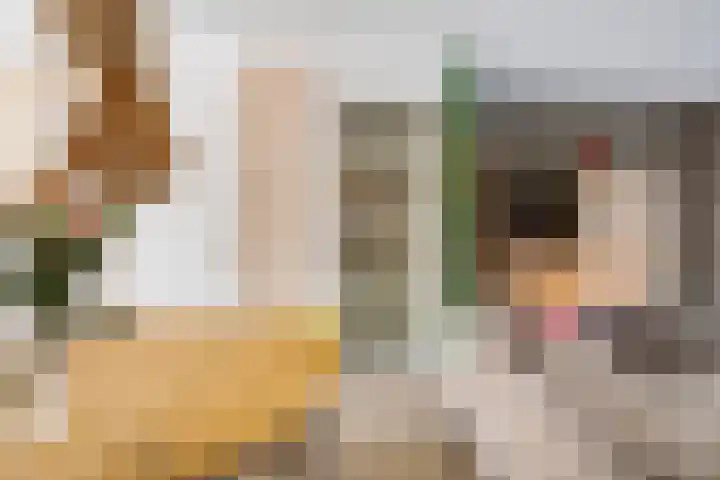 Hinkeslân 1 a Goutum thumbnail 4