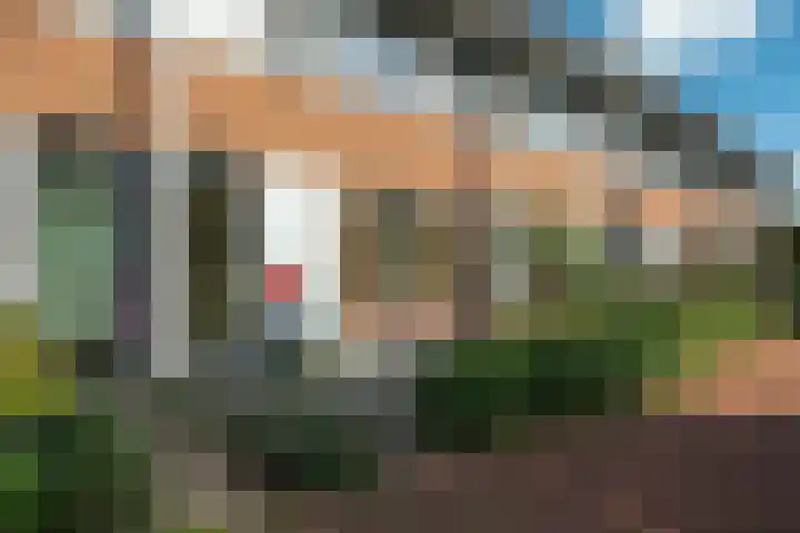 Hinkeslân 1 a Goutum thumbnail 40