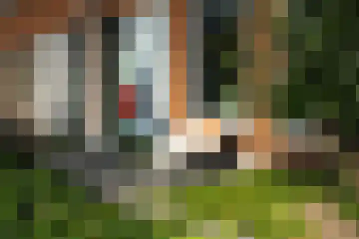 Hinkeslân 1 a Goutum thumbnail 41