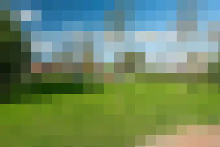 Hinkeslân 1 a Goutum thumbnail 42