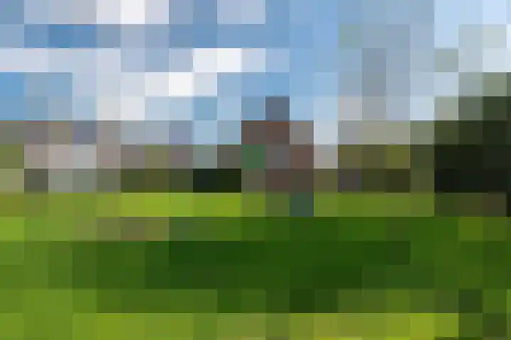 Hinkeslân 1 a Goutum thumbnail 43