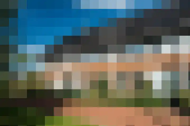 Hinkeslân 1 a Goutum thumbnail 44