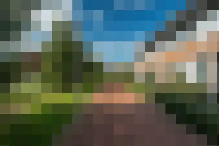 Hinkeslân 1 a Goutum thumbnail 45