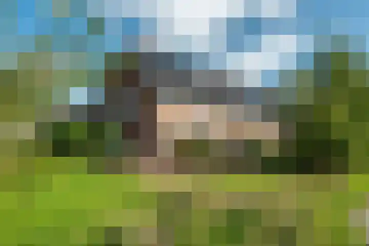 Hinkeslân 1 a Goutum thumbnail 47