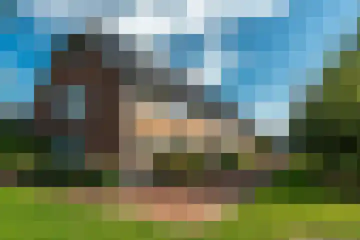 Hinkeslân 1 a Goutum thumbnail 48