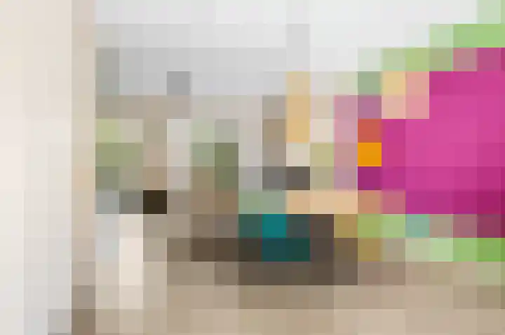 Hinkeslân 1 a Goutum thumbnail 5