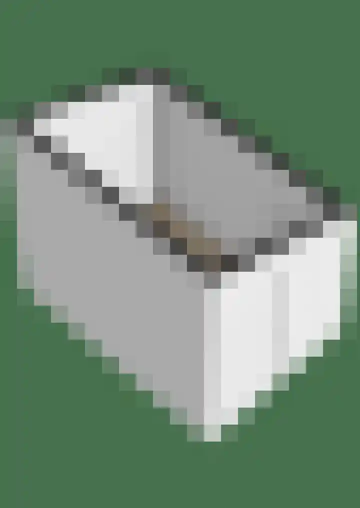 Hinkeslân 1 a Goutum thumbnail 52
