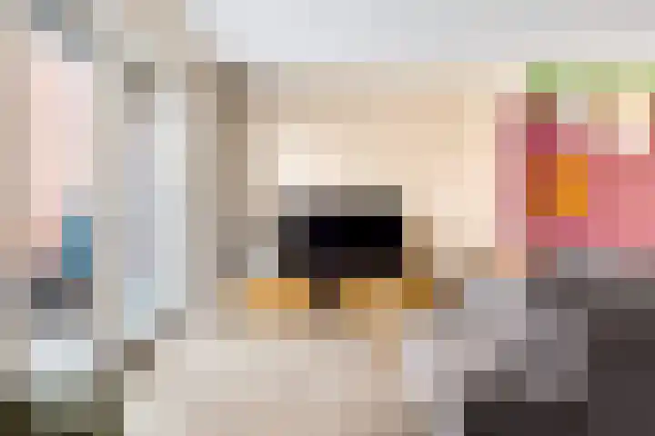 Hinkeslân 1 a Goutum thumbnail 6