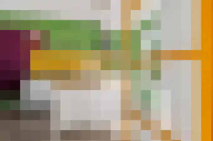 Hinkeslân 1 a Goutum thumbnail 7