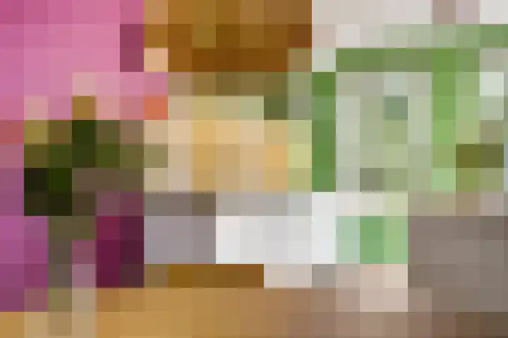 Hinkeslân 1 a Goutum thumbnail 9