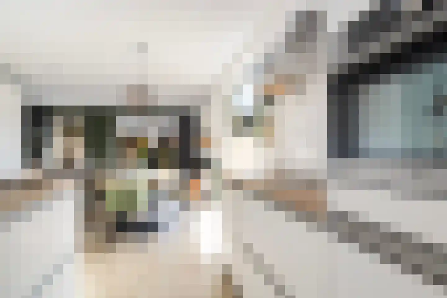 Hinkeslân 7 Goutum thumbnail 11