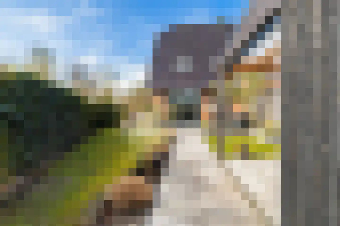 Hinkeslân 7 Goutum thumbnail 15