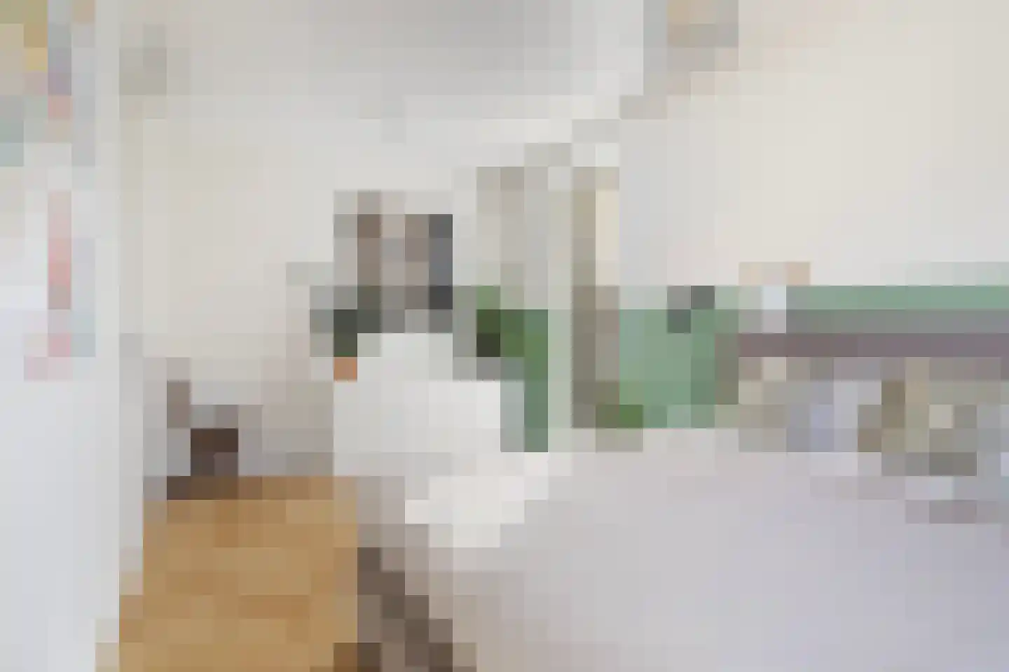 Hinkeslân 7 Goutum thumbnail 22