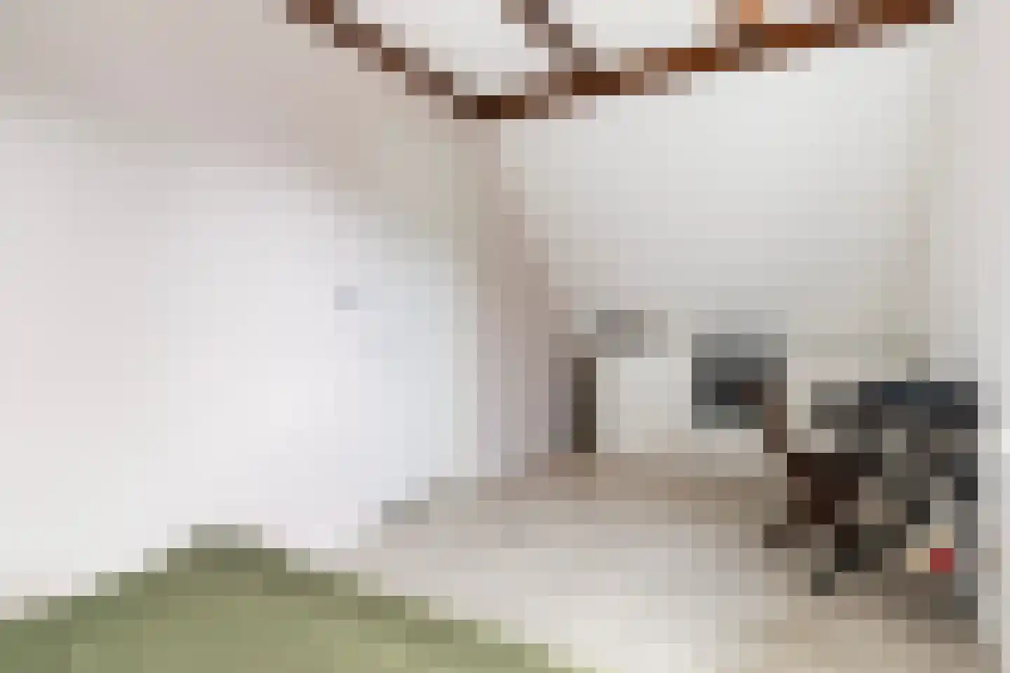 Hinkeslân 7 Goutum thumbnail 31