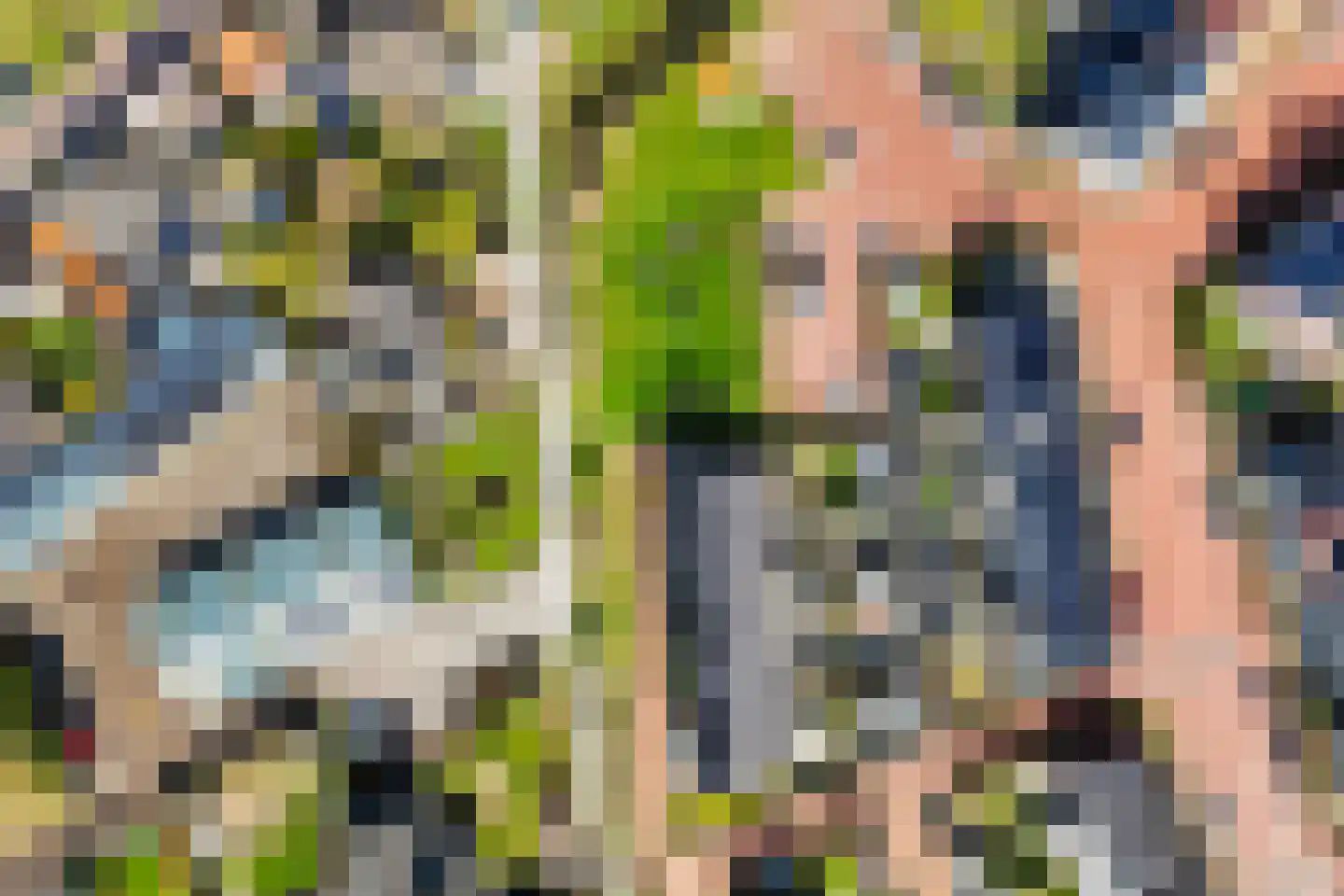 Hinkeslân 7 Goutum thumbnail 34