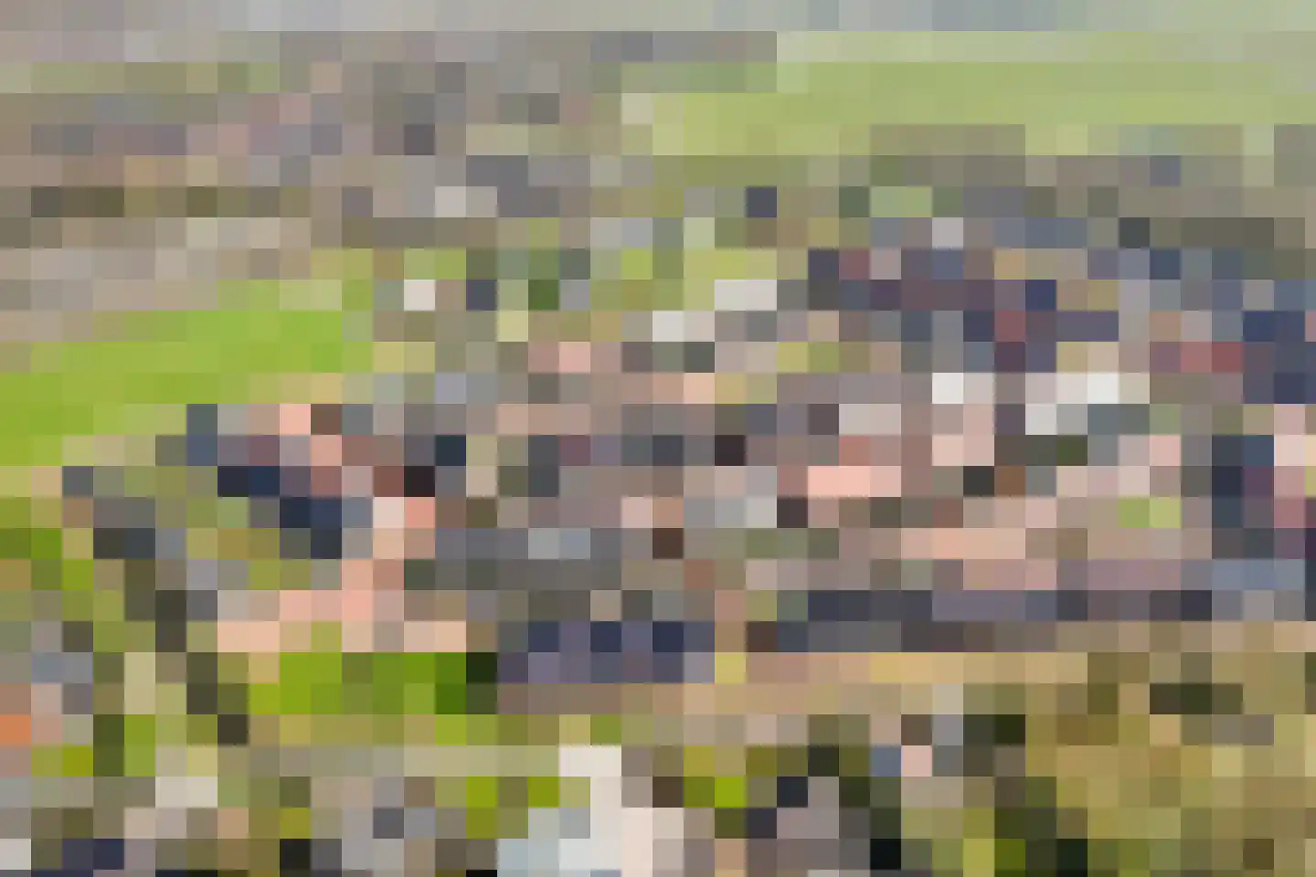 Hinkeslân 7 Goutum thumbnail 35