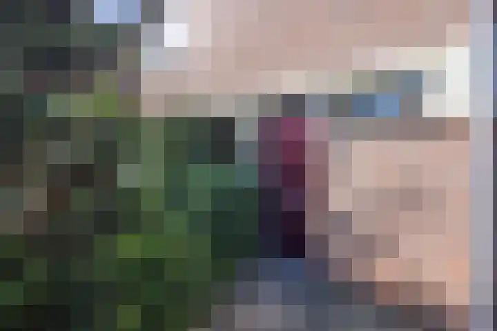 Hinnemanskamp 10 Enschede thumbnail 10