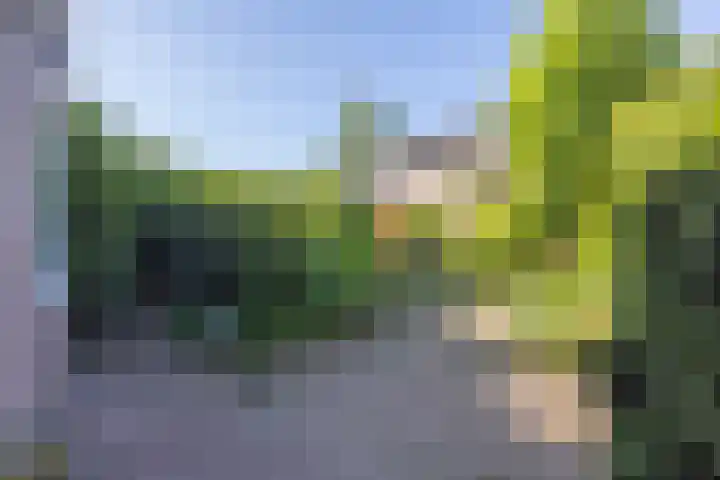 Hinnemanskamp 10 Enschede thumbnail 38