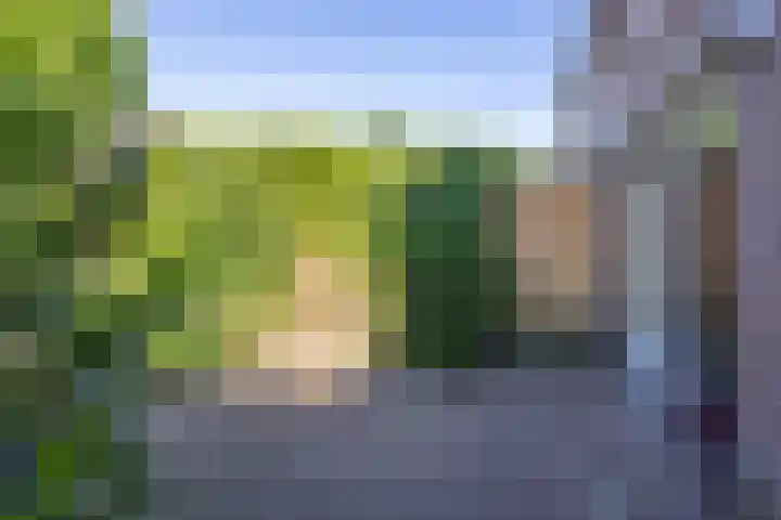 Hinnemanskamp 10 Enschede thumbnail 42