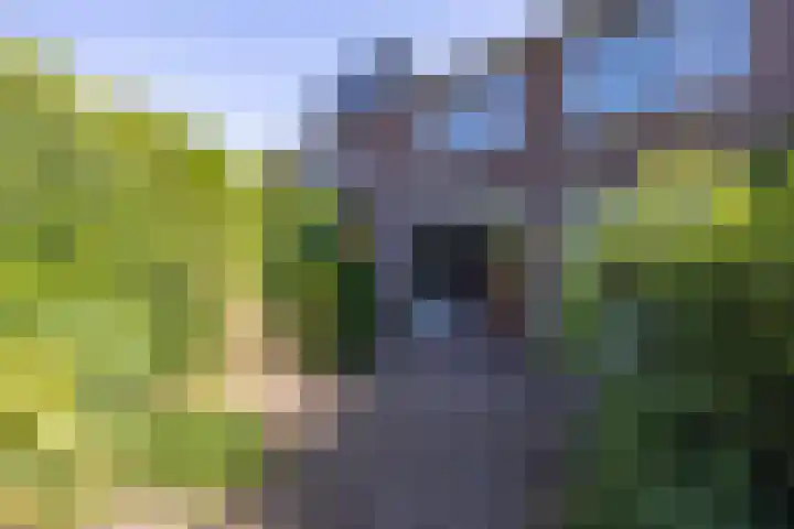 Hinnemanskamp 10 Enschede thumbnail 5